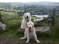 Oscar & Ti in Buxton, Aug '07.webp